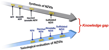 Graphical abstract: Towards the next decade for research on the environmental impact of nanoscale zerovalent iron on microorganisms