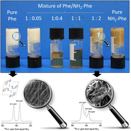 Graphical abstract: Probing assembly/disassembly of ordered molecular hydrogels