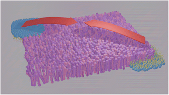 Graphical abstract: Interaction of lipid domains originating from differential domain–monolayer contact energy
