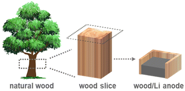 Graphical abstract: Natural wood as a lithium metal host