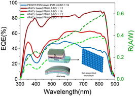 Graphical abstract: Efficient self-powered near-infrared organic photodetectors with a self-assembled transport layer