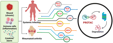 Graphical abstract: Recent insights of PROTAC developments in inflammation-mediated and autoimmune targets: a critical review