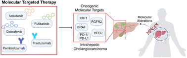 Graphical abstract: Recent progress in emerging molecular targeted therapies for intrahepatic cholangiocarcinoma