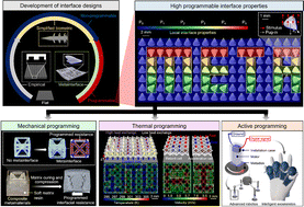 Graphical abstract: Metainterfaces with mechanical, thermal, and active programming properties based on programmable orientation-distributed biometric architectonics