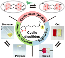 Graphical abstract: Principles for designing sustainable and high-strain rate stress wave dissipating materials