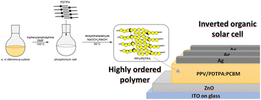 Graphical abstract: Influence of the 2,5-bis(pentadecyloxy)terephthalic acid self-assembly layer on the structure and charge transfer properties of poly(p-phenylene vinylene) for application in organic solar cells