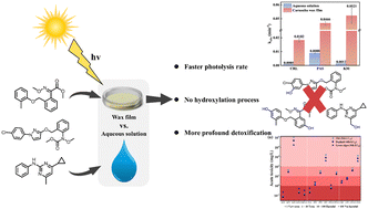 Graphical abstract: Photolysis of fungicides on simulated leaf surfaces vs. aqueous solutions: pathways, kinetics, and environmental detoxification insights