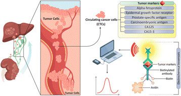 Graphical abstract: Biotin-functionalized nanoparticles: an overview of recent trends in cancer detection