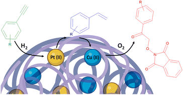 Graphical abstract: Consecutive one-pot alkyne semihydrogenation/alkene dioxygenation reactions by Pt(ii)/Cu(ii) single-chain nanoparticles in green solvent