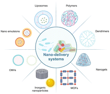 Graphical abstract: Nanomaterial-enabled anti-biofilm strategies: new opportunities for treatment of bacterial infections
