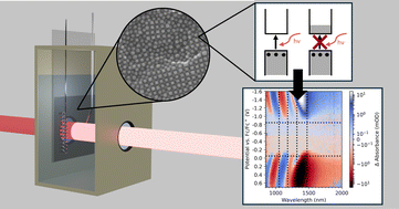 Graphical abstract: Spectroelectrochemistry with hydrogen-doped indium oxide electrodes monitors electron and hole injection into PbS quantum dots