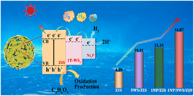 Graphical abstract: Electronic structure engineering and a cascade electron transfer channel in a Ni2P/1T-WS2/ZnIn2S4 ternary heterojunction for enhanced photocatalytic hydrogen evolution: construction, kinetics, and mechanistic insights