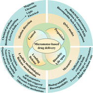 Graphical abstract: Micromotors toward biomedicine: efforts to achieve precise drug delivery