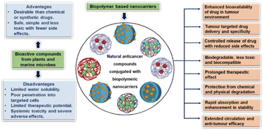 Graphical abstract: Biopolymeric nanocarriers in cancer therapy: unleashing the potency of bioactive anticancer compounds for enhancing drug delivery