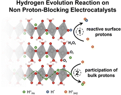 Graphical abstract: Participation of electrochemically inserted protons in the hydrogen evolution reaction on tungsten oxides