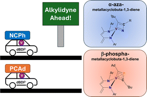 Graphical abstract: Pnictogen-based vanadacyclobutadiene complexes