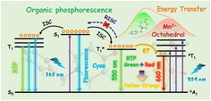 Graphical abstract: Efficient energy transfer from organic triplet states to Mn2+ dopants for dynamic tunable multicolor afterglow in 1D hybrid cadmium chloride