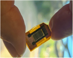 Graphical abstract: Yeast bio-batteries