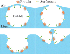 Graphical abstract: Effect of surface viscoelasticity on top jet drops produced by bursting bubbles