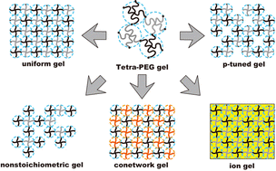 Graphical abstract: Physics of polymer gels: Toyoichi Tanaka and after