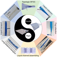 Graphical abstract: Vampire bat's tongue-inspired superhydrophilic flexible origami channel for directional and spontaneous liquid manipulation