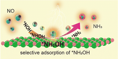 Graphical abstract: Copper rhodium nanosheet alloy for electrochemical NO reduction reaction via selective intermediate adsorption