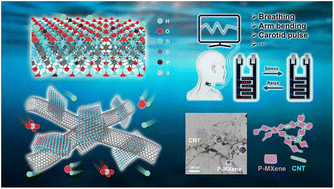 Graphical abstract: Carbon nanotube cross-linked phosphorus-doped MXene for capacitive pressure microsensors