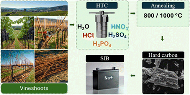 Graphical abstract: High performing and sustainable hard carbons for Na-ion batteries through acid-catalysed hydrothermal carbonisation of vine shoots