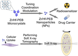 Graphical abstract: Downsizing and soft X-ray tomography for cellular uptake of interpenetrated metal–organic frameworks