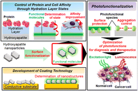 Graphical abstract: Surface functionalization of hydroxyapatite nanoparticles for biomedical applications