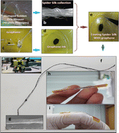 Graphical abstract: Polyurethane packed graphene-coated spider silk by dip-casting for a highly stretchable strain sensor