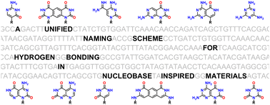 Graphical abstract: Beyond DAD: proposing a one-letter code for nucleobase-mediated molecular recognition