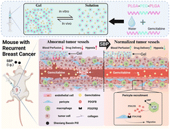 Graphical abstract: Traditional Chinese medicine (TCM) enhances the therapeutic efficiency of a gemcitabine-loaded injectable hydrogel on postoperative breast cancer through modulating the microenvironment