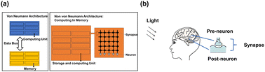 Graphical abstract: MXene-based optoelectronic synaptic transistors utilize attentional mechanisms to achieve hierarchical responses