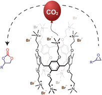 Graphical abstract: An ammonium rich pillararene macrocycle as a heterogeneous catalyst for cyclic carbonate synthesis
