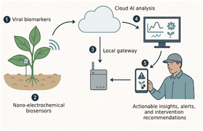 Graphical abstract: Rapid and accurate detection of crop viruses by nano-electrochemical sensors