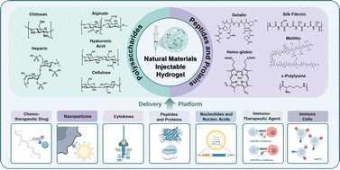 Graphical abstract: Naturally-derived injectable hydrogels for antitumor therapeutics