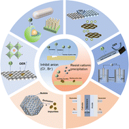 Graphical abstract: Impact of harmful ions in seawater on electrolysis catalysts: challenges and mitigation strategies