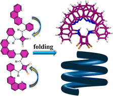 Graphical abstract: Foldamer engineering with squaramide and phenanthroline motifs: synthesis, characterisation, and structural insights