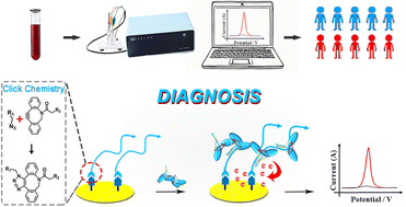 Graphical abstract: An electrochemical biosensor for breast cancer diagnosis based on RCA-enhanced metal–organic framework self-assembly