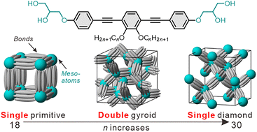 Graphical abstract: A series of three liquid crystalline cubic phases with an alternating sequence of single- and double-network structures