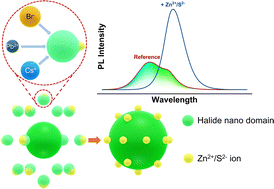 Graphical abstract: Influence of Zn2+ and S2− on the formation of CsPbBr3 nanocrystals in fluorophosphate glass