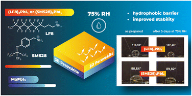 Graphical abstract: Exploration of two highly fluorinated ammonium cations as spacers in low- and mixed dimensional hybrid lead iodide perovskites