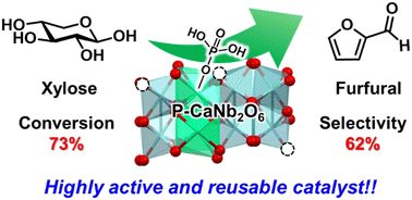 Graphical abstract: Lewis acid catalysis of phosphate-modified CaNb2O6 for xylose dehydration to furfural
