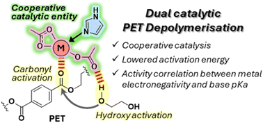 Graphical abstract: Elucidating activity-property relationships of dual catalysts for poly(ethylene terephthalate) depolymerisation