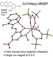 Graphical abstract: Complex of copper(ii) hexafluoroacetylacetonate with photochromic spiropyran in the merocyanine form: field-induced slow magnetic relaxation and quantum coherence for CuII (S = 1/2) and photoswitching of spiropyran ligand