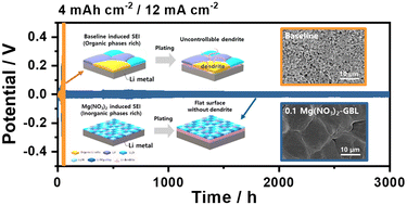 Graphical abstract: Synergetic effects of cation and anion of Mg(NO3)2 as electrolyte additives in stabilizing Li metal anode