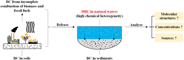Graphical abstract: Challenges in the analysis of dissolved black carbon in natural waters