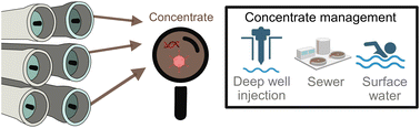 Graphical abstract: Emerging investigator series: why we should care about the fate of biological contaminants from municipal wastewater in reverse osmosis concentrate