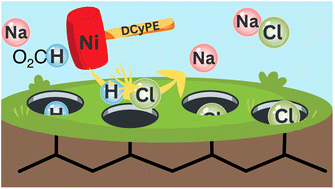 Graphical abstract: Nickel catalyzed hydrodechlorination and CO functionalization of polyvinyl chloride
